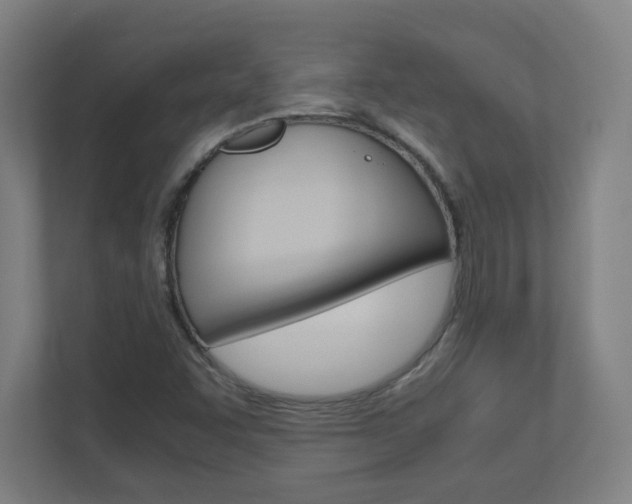 X0000110911455200906180956