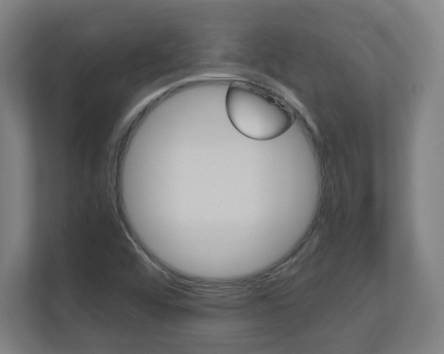 X0000110911456200906180956