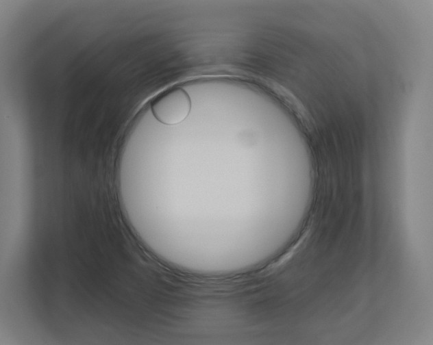X0000110911457200906180956