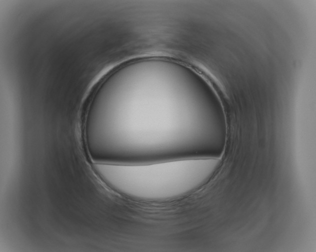 X0000110911460200906180956