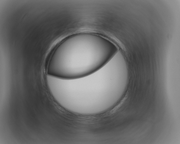 X0000110911461200906180956