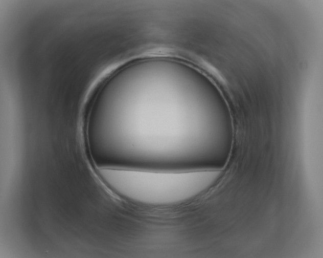 X0000110911464200906180956