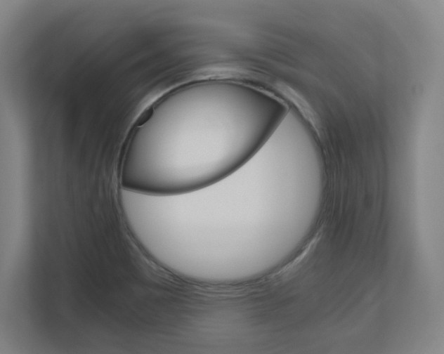 X0000110911465200906180956