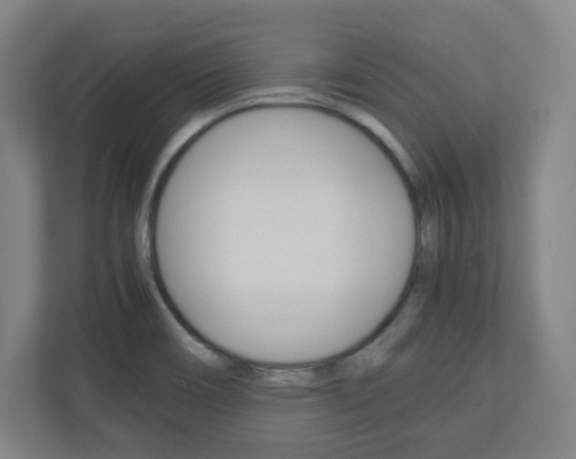 X0000110911466200906180956