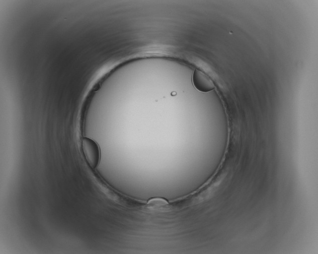 X0000110911469200906180956