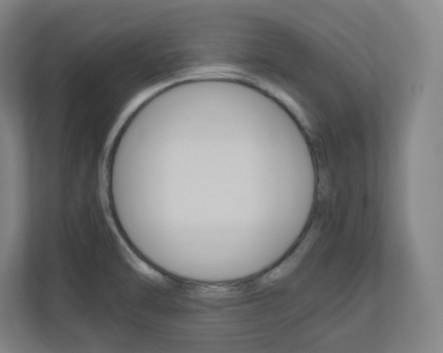 X0000110911470200906180956