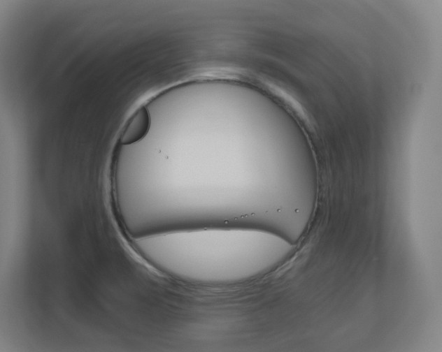 X0000110911471200906180956
