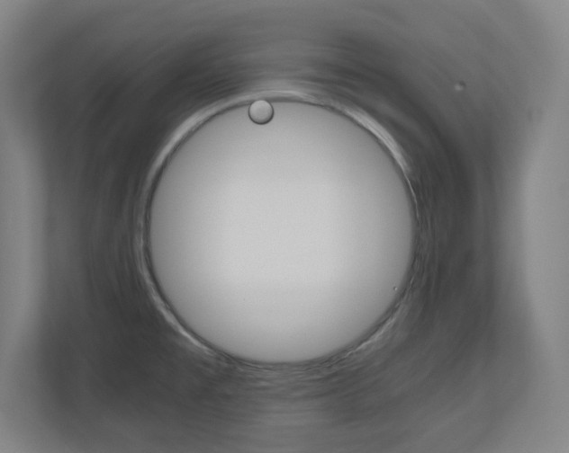 X0000110911477200906180956
