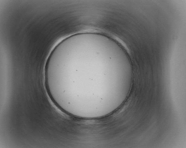 X0000110911479200906180956