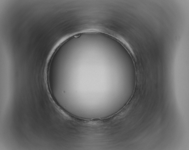 X0000110911480200906180956