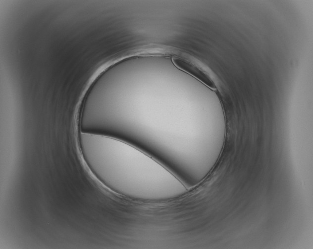 X0000110911483200906180956