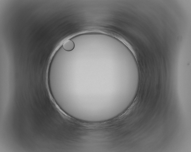 X0000110911485200906180956
