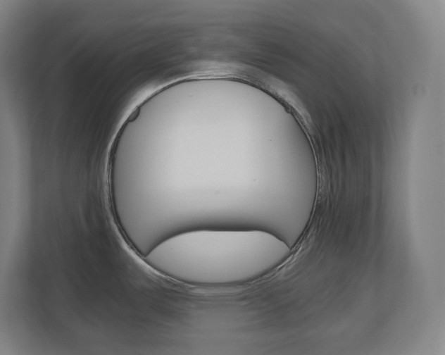 X0000110911487200906180956