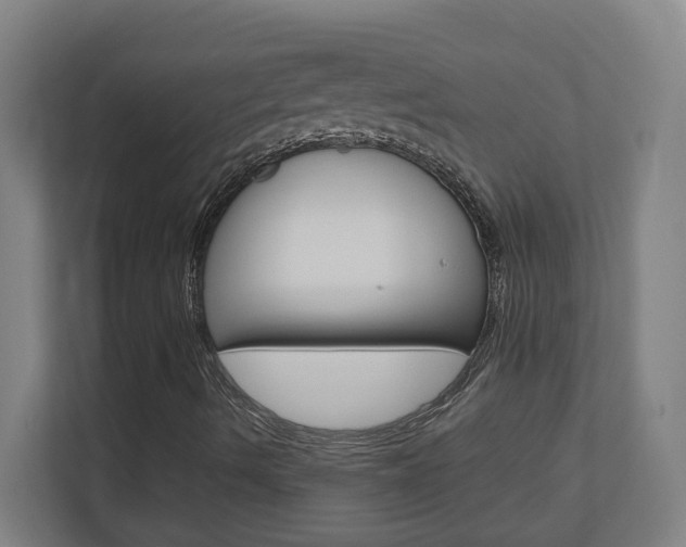 X0000110911490200906180955