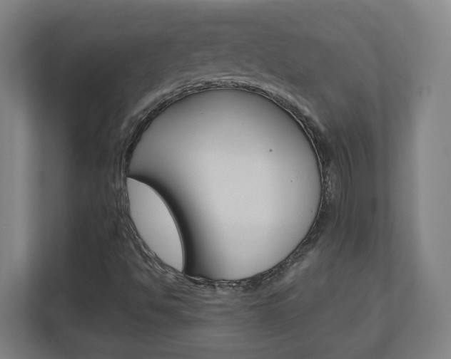 X0000110911494200906180955