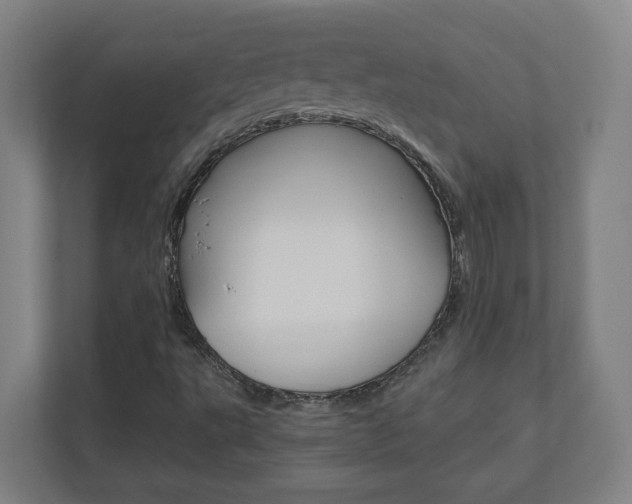 X0000110911495200906180955