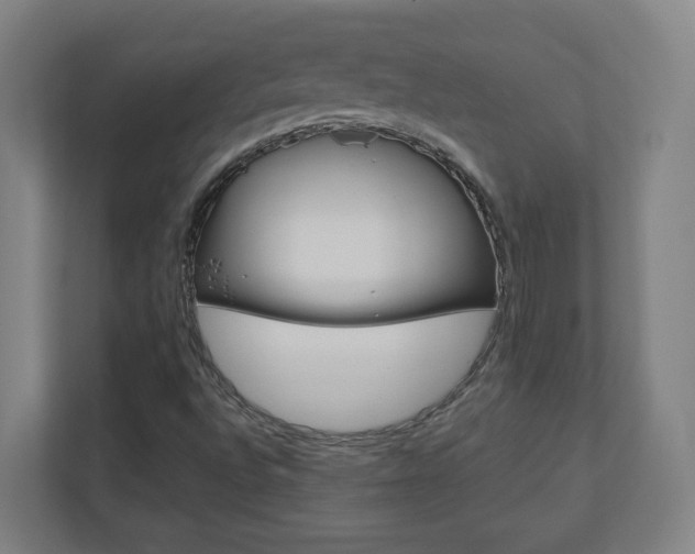 X0000110911496200906180955