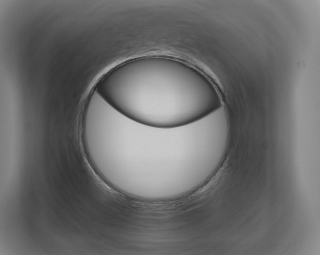 X0000110911500200906180955