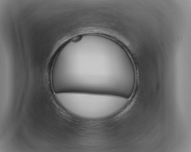 X0000110911501200906180955