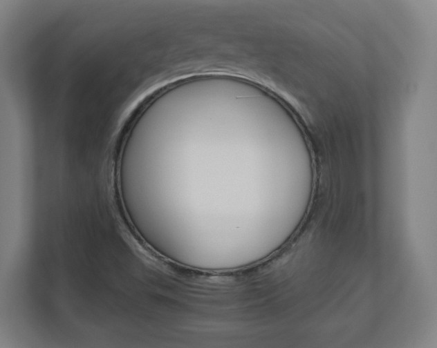 X0000110911503200906180955