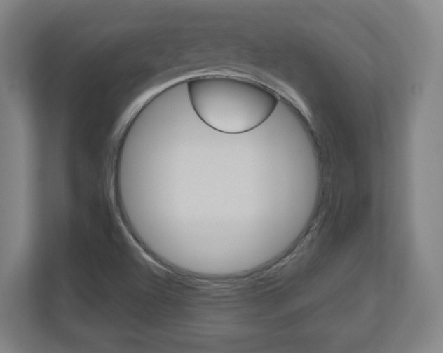 X0000110911504200906180955