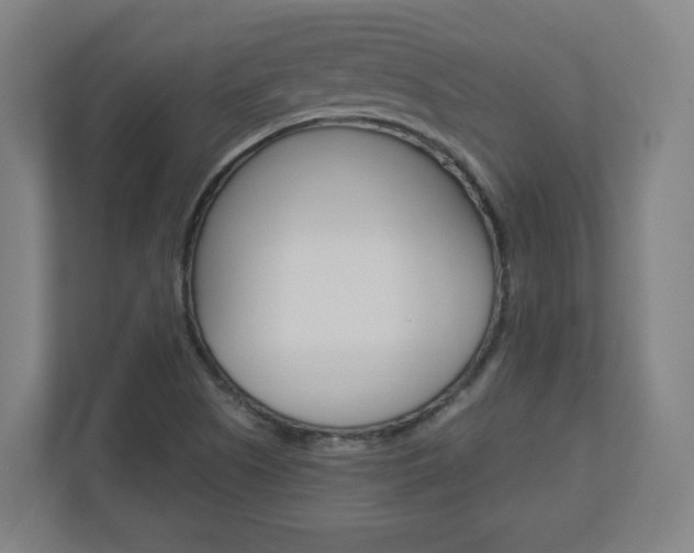 X0000110911505200906180955