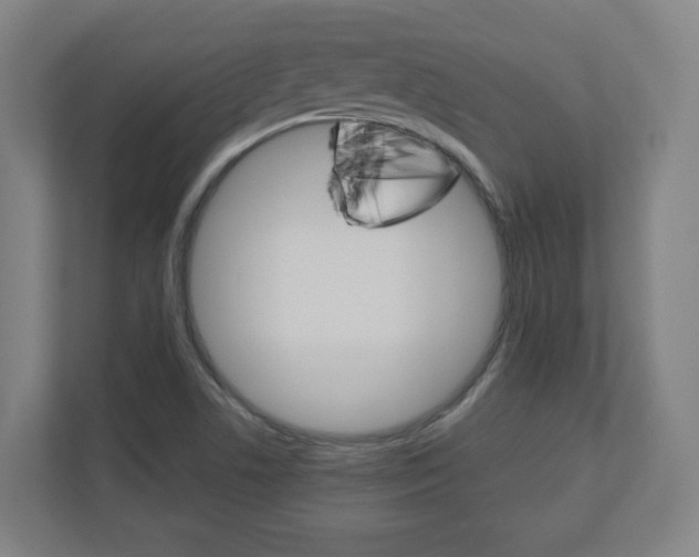 X0000110911506200906180955