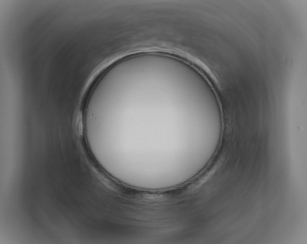 X0000110911509200906180955