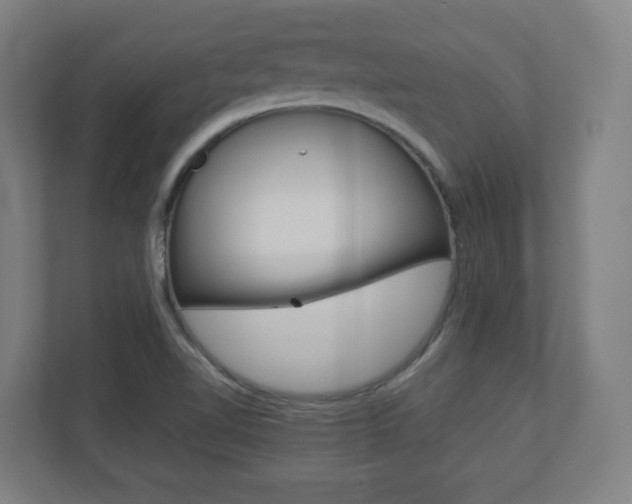 X0000110911510200906180955