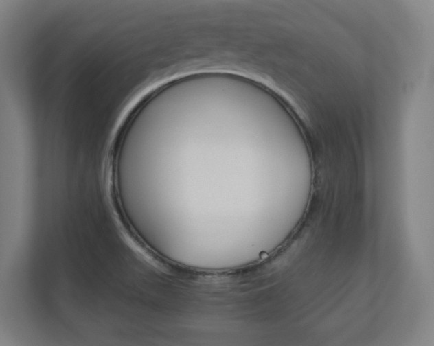 X0000110911511200906180956