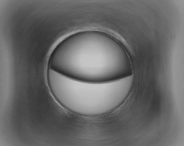 X0000110911512200906180956