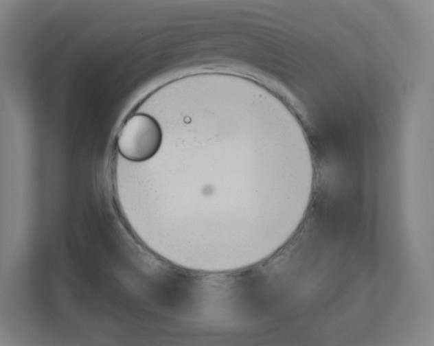 X0000110911514200906180956