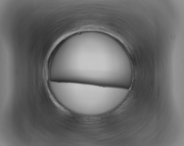X0000110911515200906180956