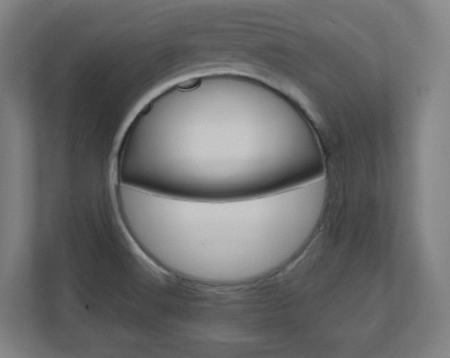 X0000110911516200906180956