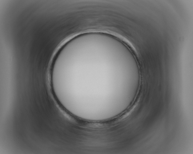 X0000110911517200906180956