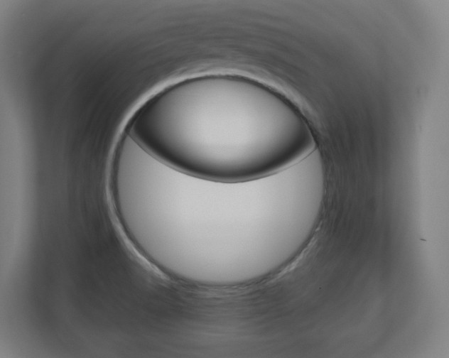 X0000110911518200906180956