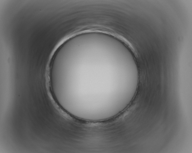 X0000110911522200906180956