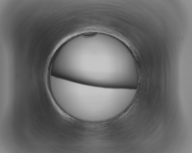 X0000110911523200906180956