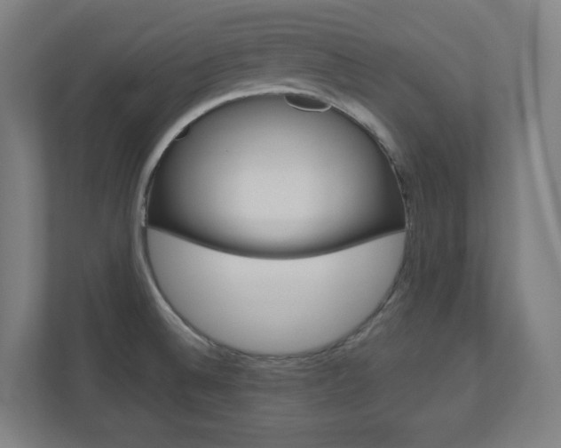 X0000110911524200906180956