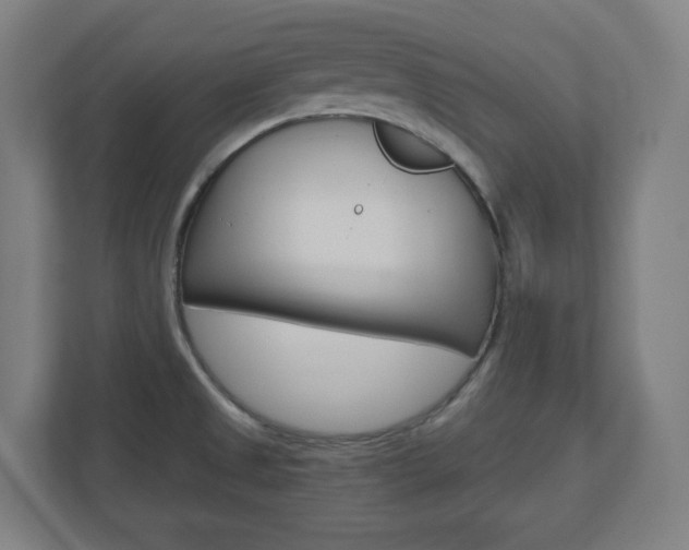 X0000110911525200906180956