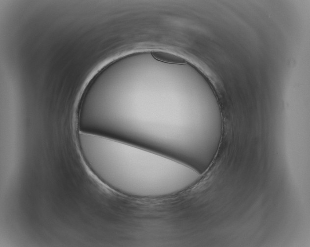 X0000110911527200906180956