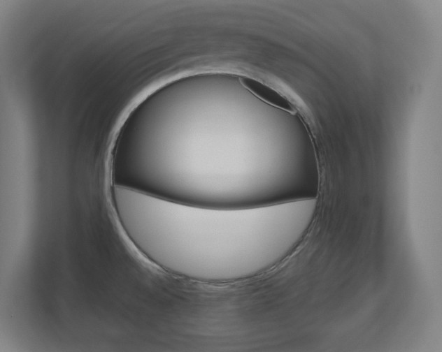 X0000110911528200906180956