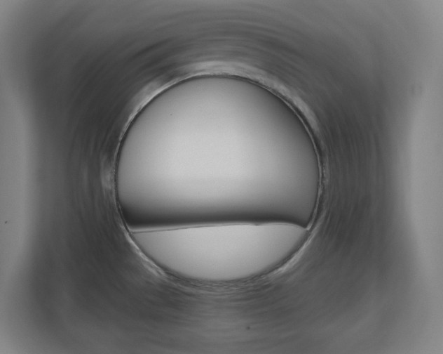 X0000110911529200906180956
