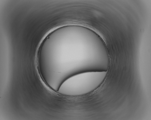 X0000110911531200906180956