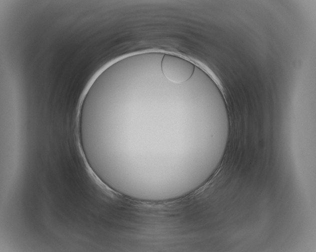 X0000110911532200906180956