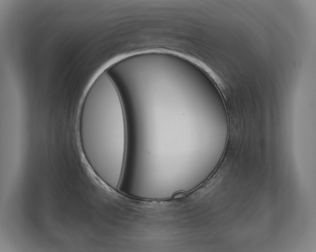 X0000110911534200906180956