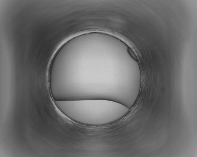 X0000110911535200906180956