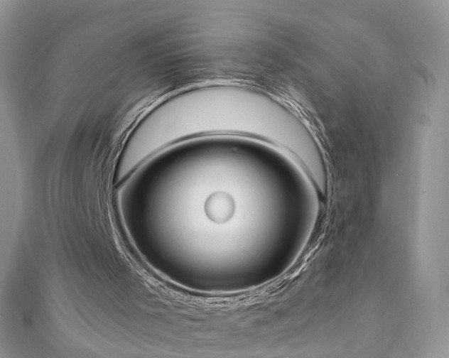 X0000110910001200906181352