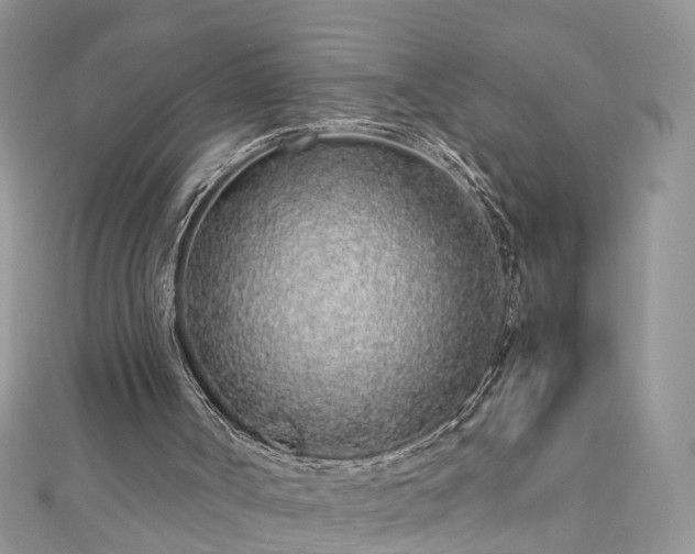 X0000110910002200906181352