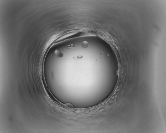 X0000110910003200906181352